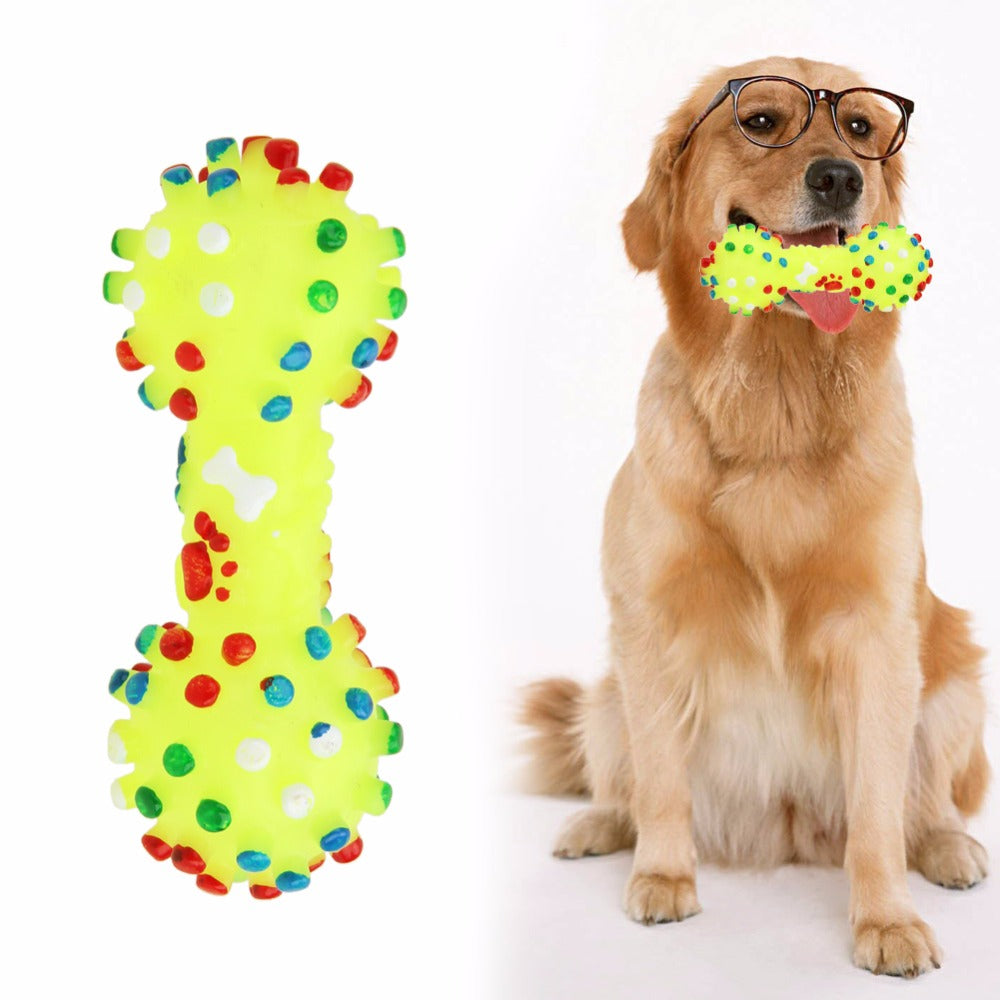 Colourful Squeaky Bone Chew Toy