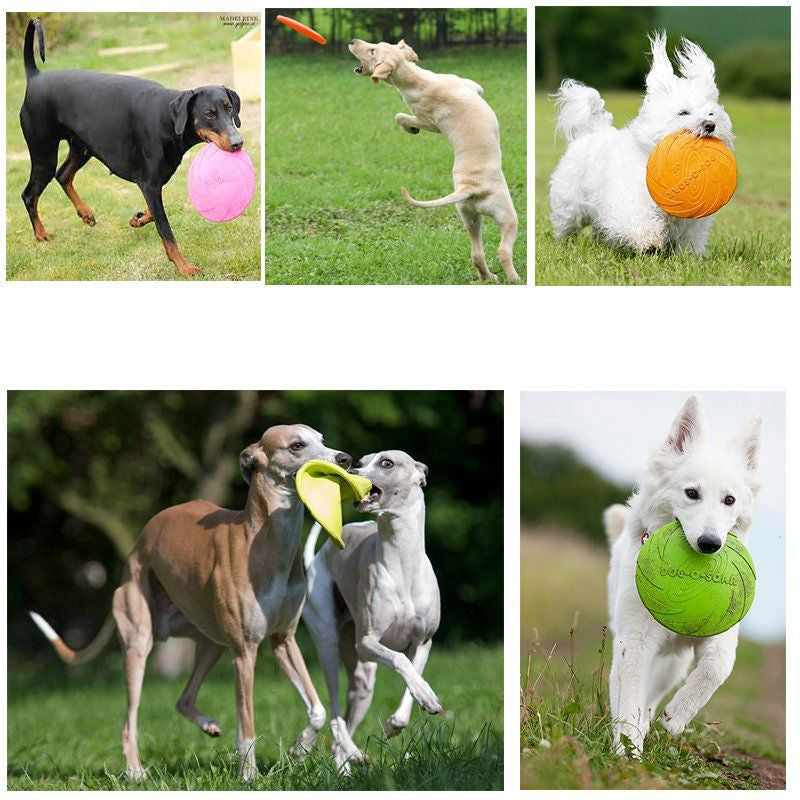 Dog Frisbee Trainning Puppy Toy rubber Fetch Flying Disc