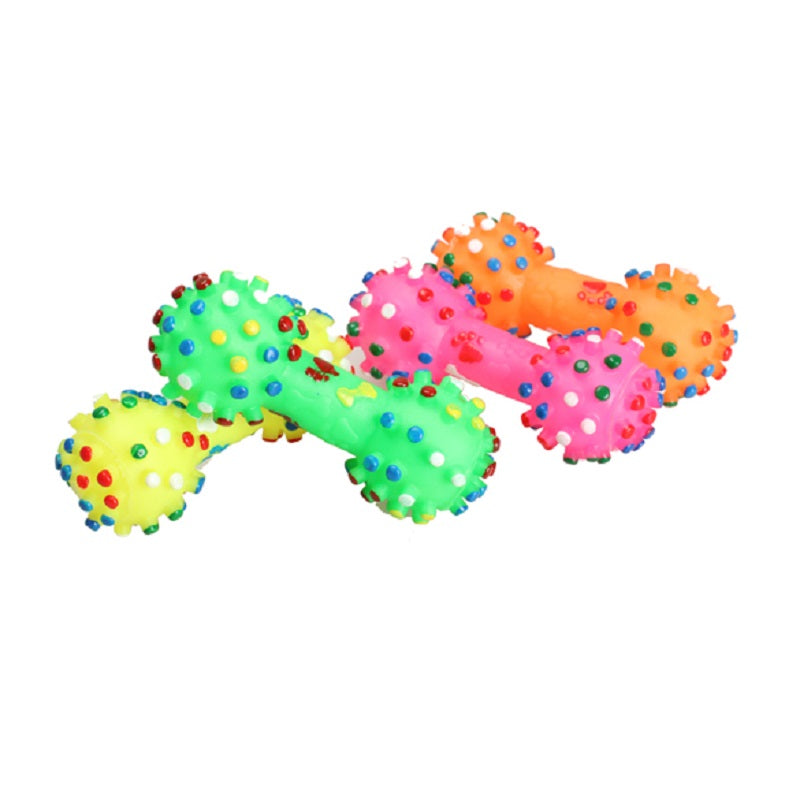 Colourful Squeaky Bone Chew Toy