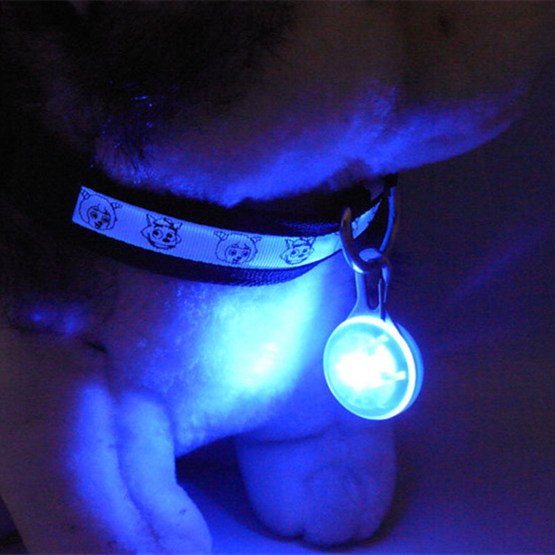 Pet Safety Keyring Night Light Pendant