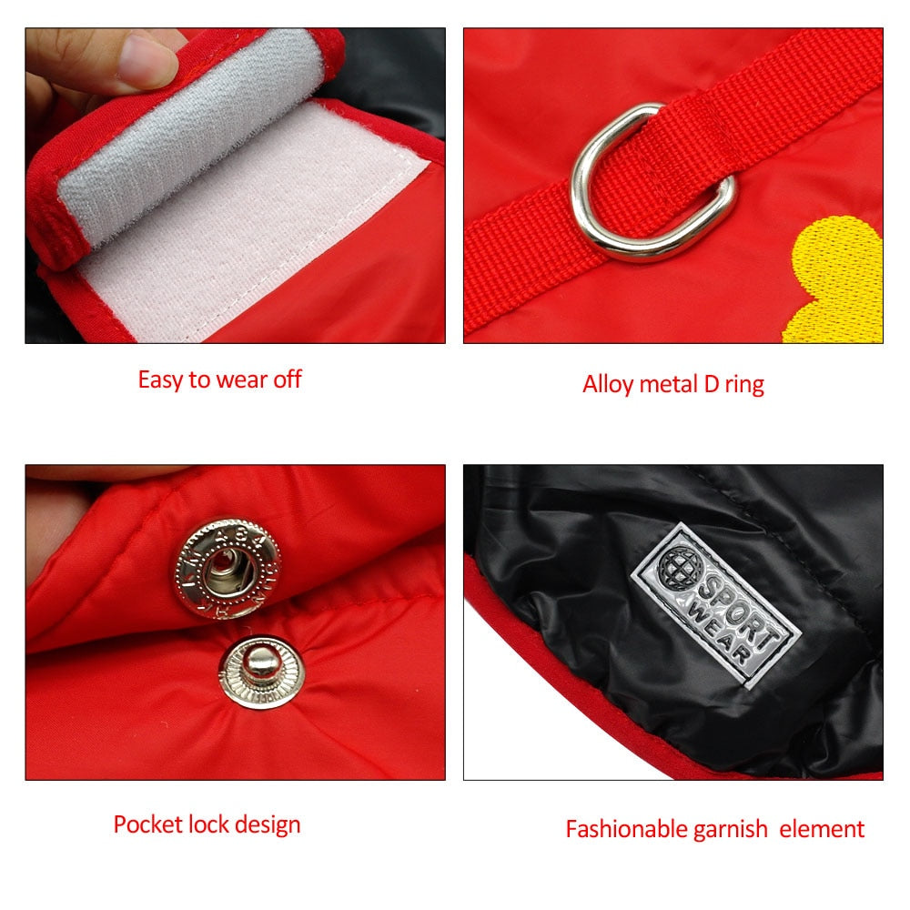 Winter Waterproof Reversible Dog Jacket