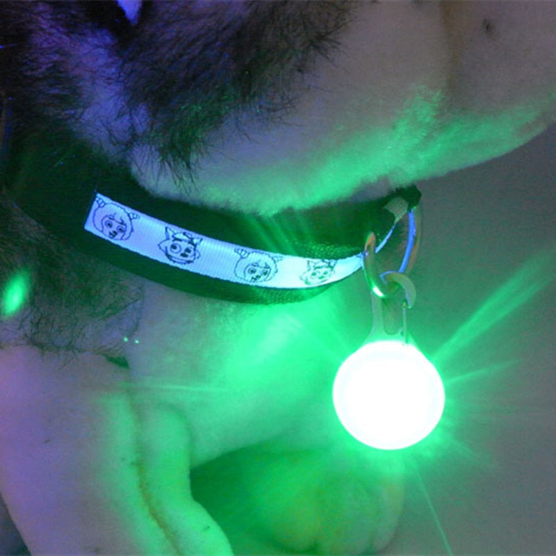 Pet Safety Keyring Night Light Pendant