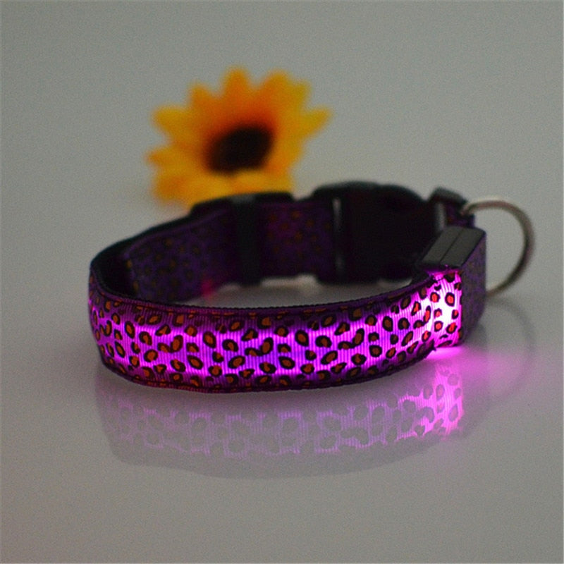 LED Dog Safety Collar Light Up Leopard Design