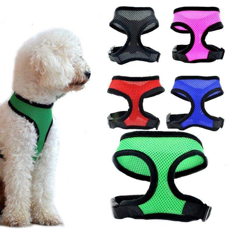 Collar Harness for Small Dogs
